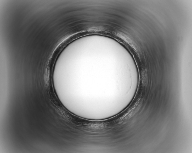 X0000093531021200711021307