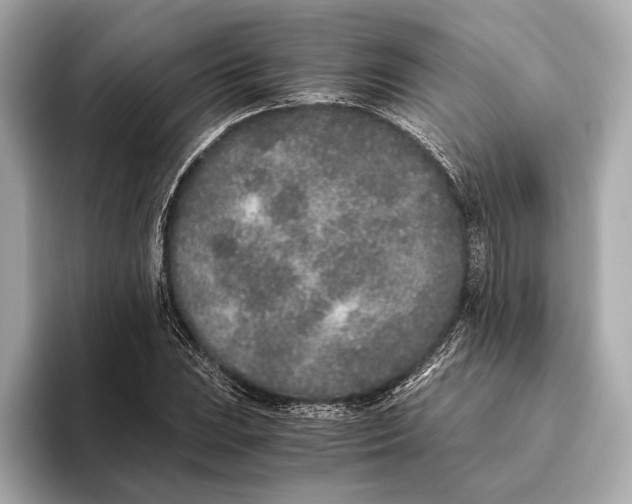 X0000093531023200711021307