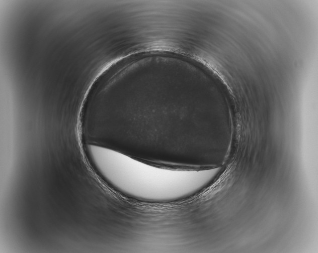 X0000093531024200711021307