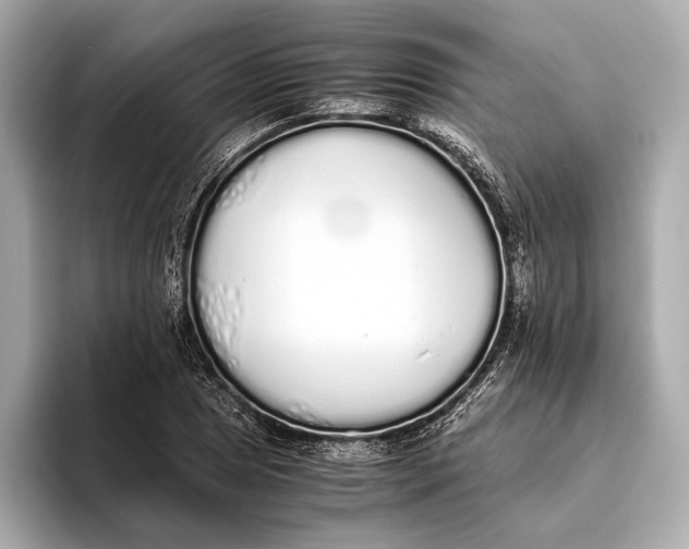 X0000093531025200711021307