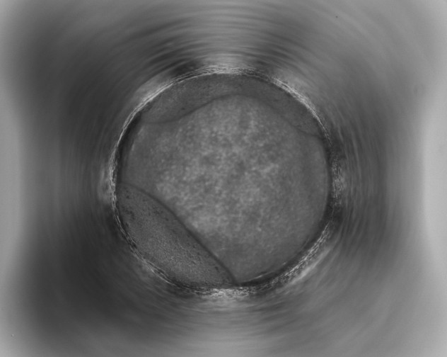 X0000093531026200711021307