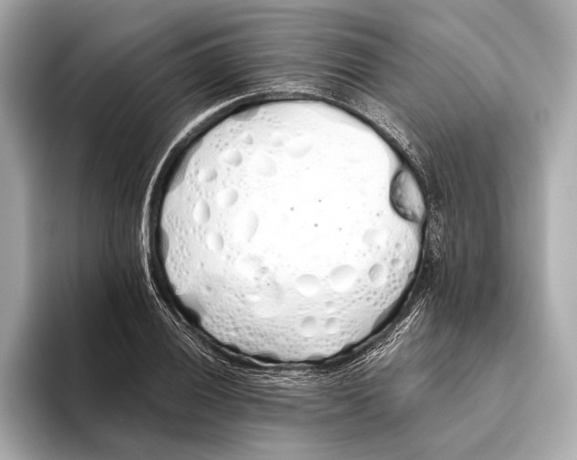 X0000093531028200711021307