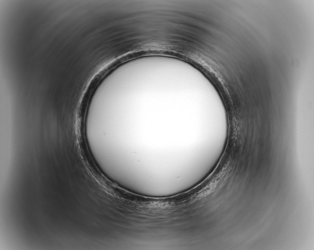 X0000093531029200711021307