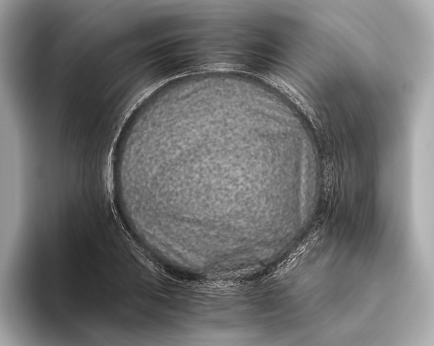 X0000093531031200711021307