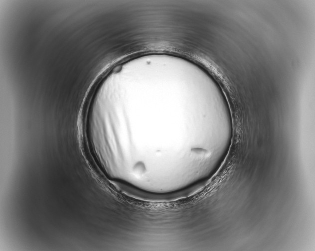 X0000093531032200711021307