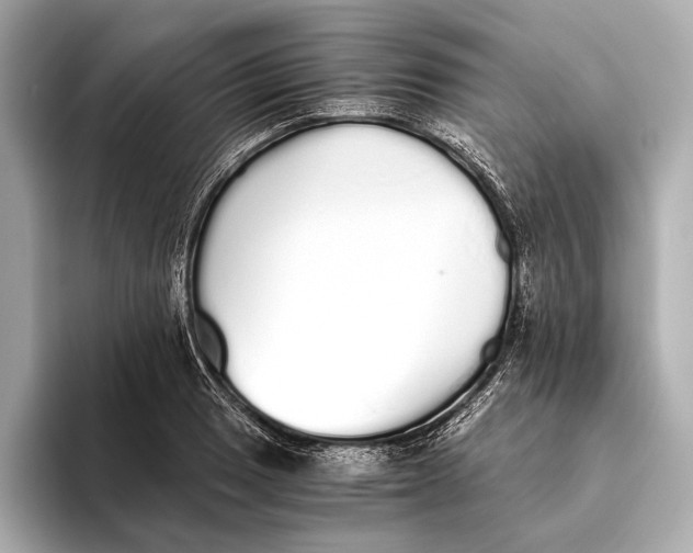 X0000093531033200711021307