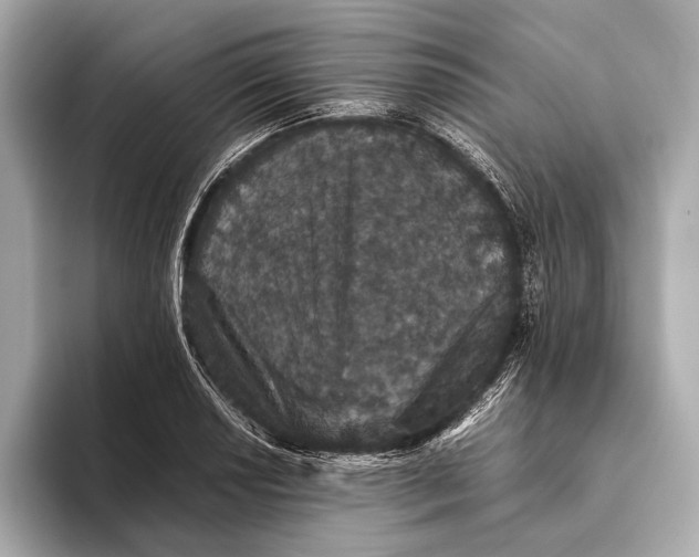 X0000093531034200711021307