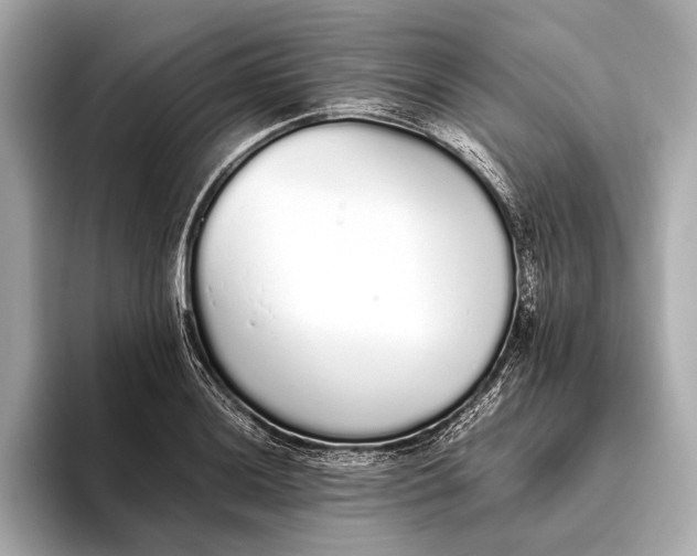 X0000093531036200711021307