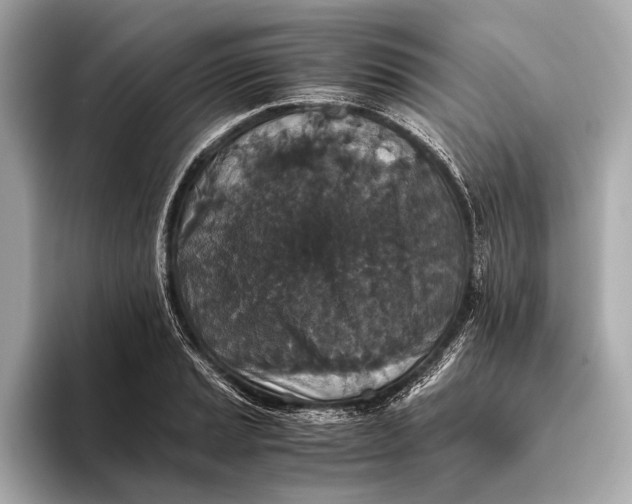 X0000093531037200711021307