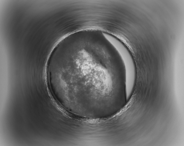 X0000093531038200711021307