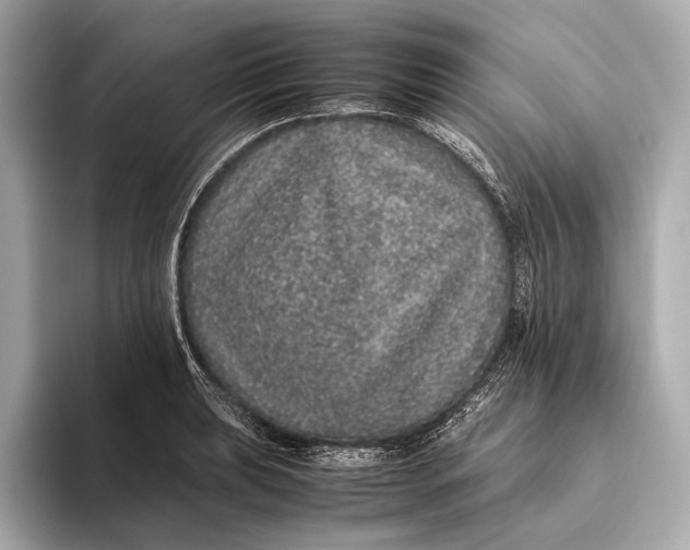 X0000093531039200711021307