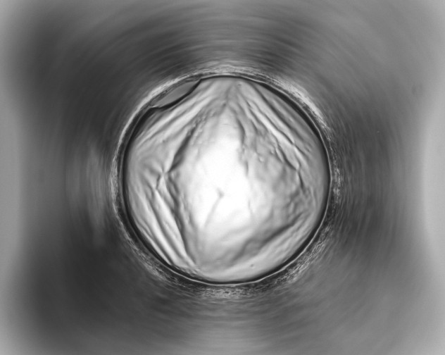 X0000093531040200711021307