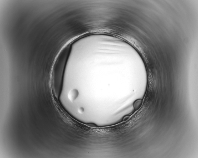 X0000093531044200711021307