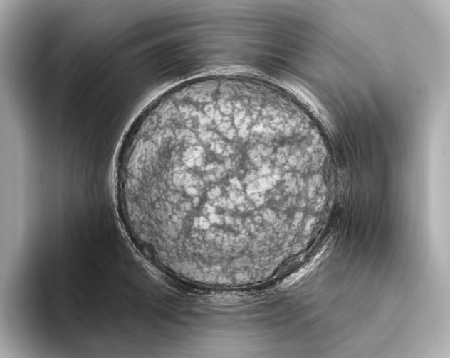 X0000093531046200711021307