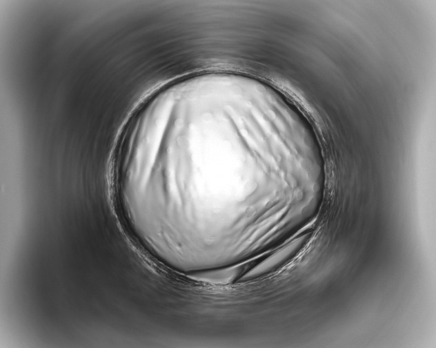 X0000093531048200711021307