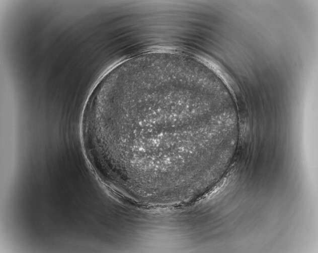 X0000093531050200711021307