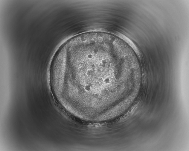 X0000093531051200711021307