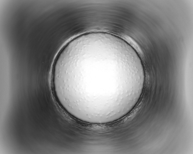 X0000093531052200711021307