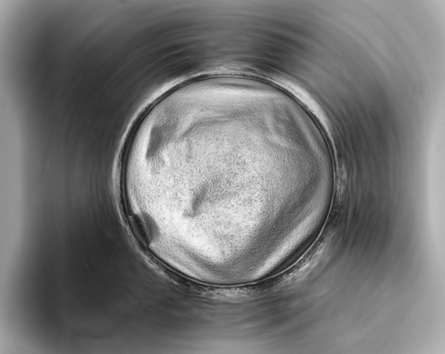 X0000093531053200711021307