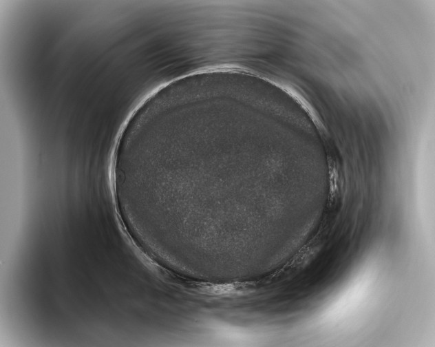 X0000093531054200711021307