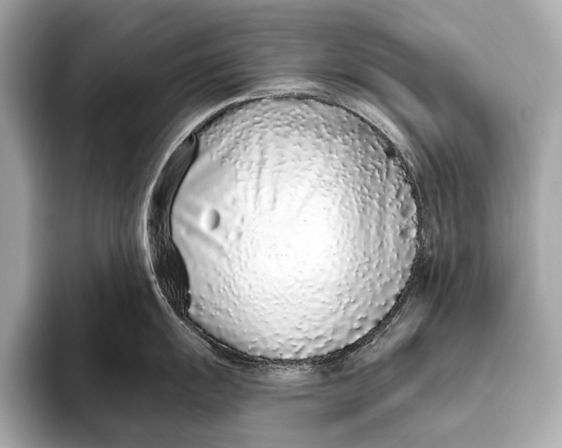 X0000093531055200711021307