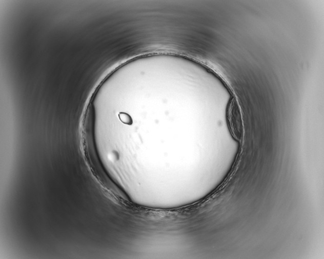 X0000093531056200711021307