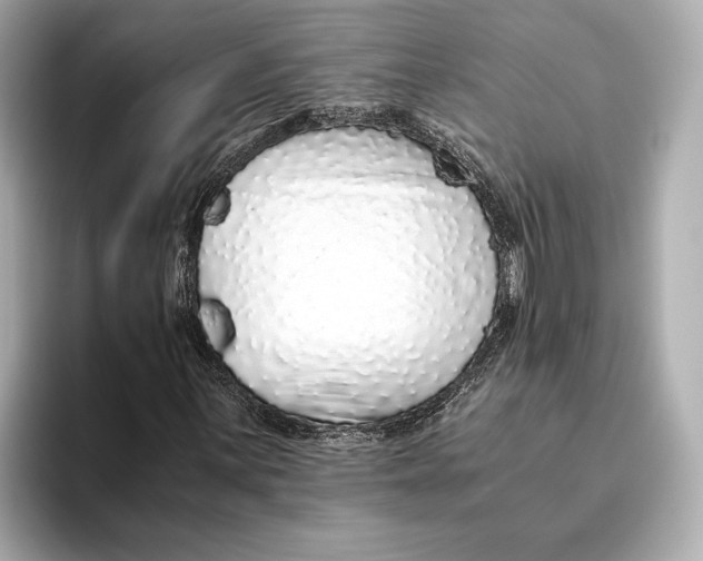 X0000093531059200711021306