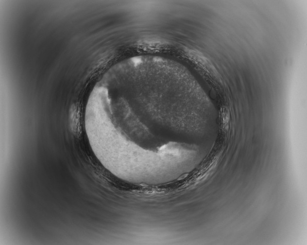 X0000093531060200711021306