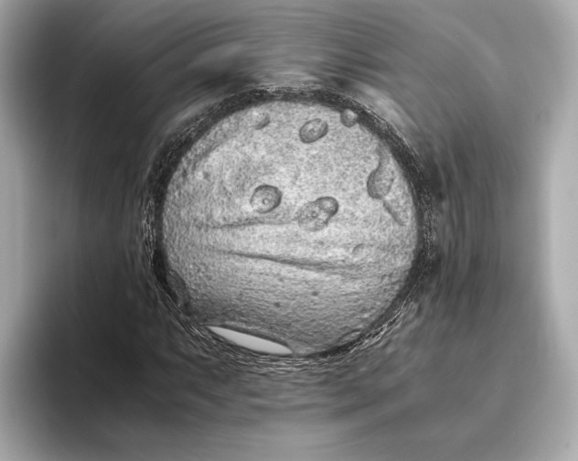 X0000093531063200711021306