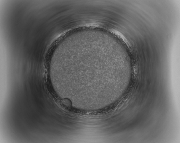 X0000093531064200711021306