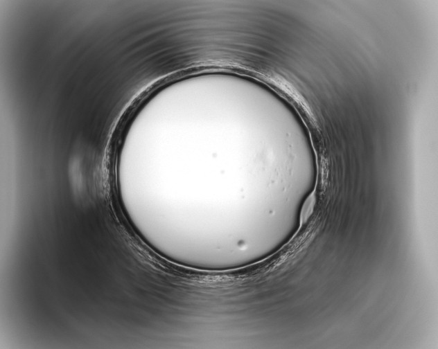 X0000093531068200711021306