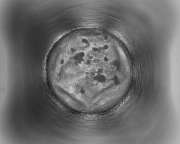 X0000093531071200711021306