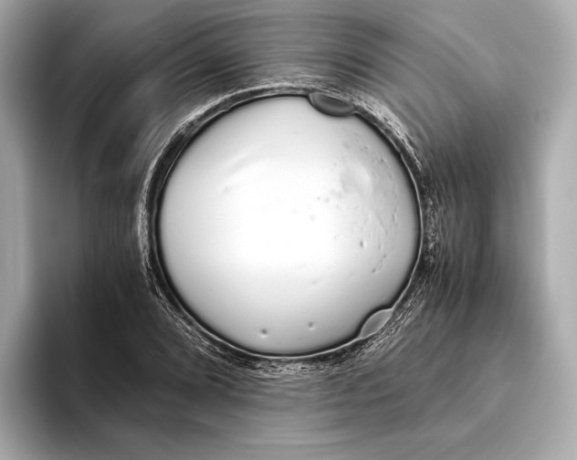 X0000093531072200711021306