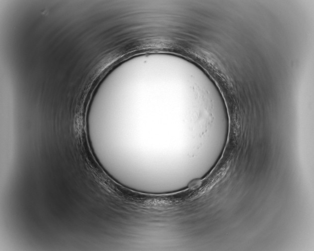 X0000093531073200711021306