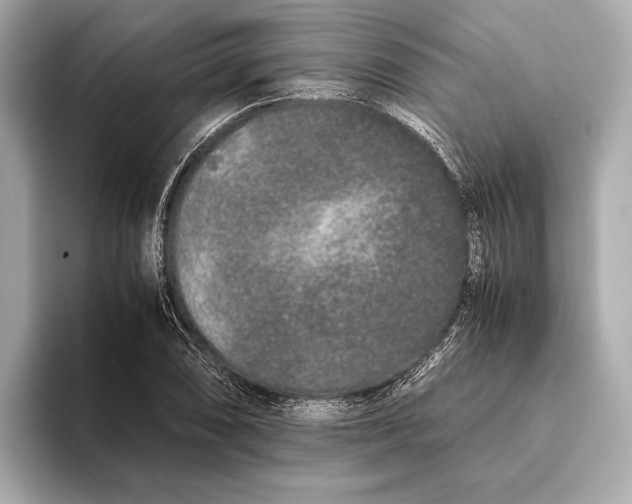 X0000093531074200711021306