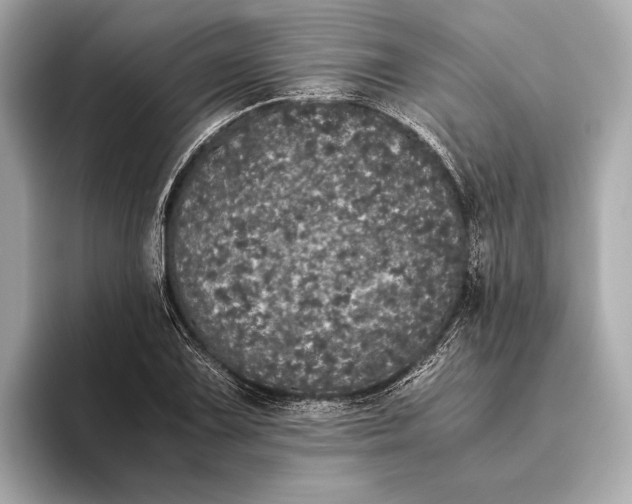 X0000093531075200711021306