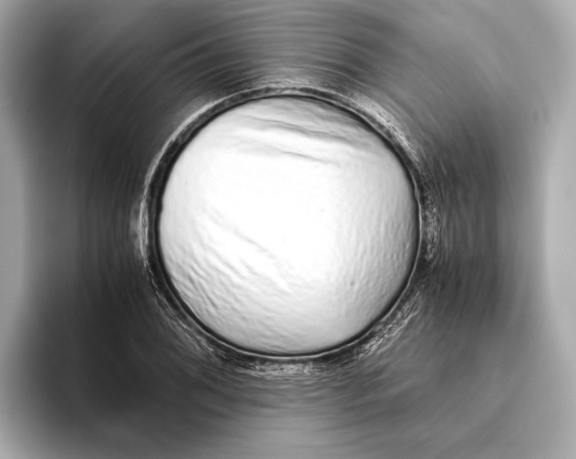 X0000093531076200711021306