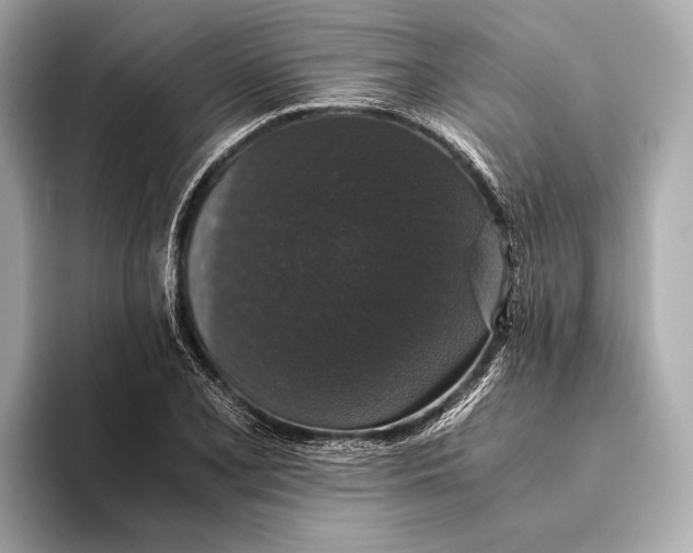 X0000093531077200711021306