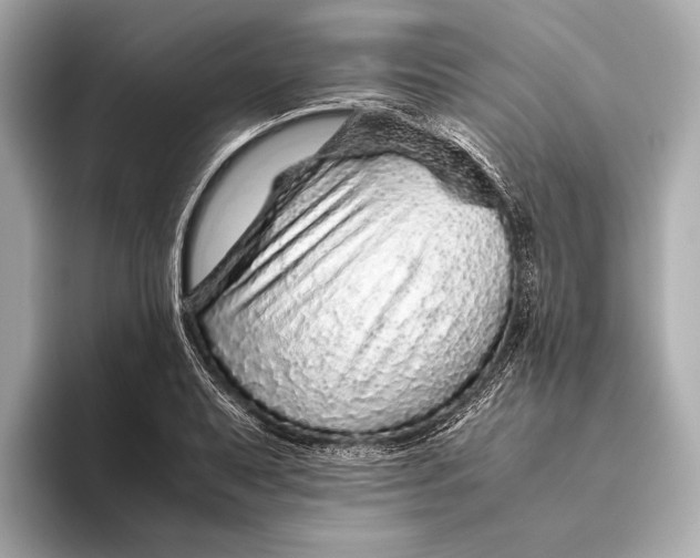 X0000093531079200711021306