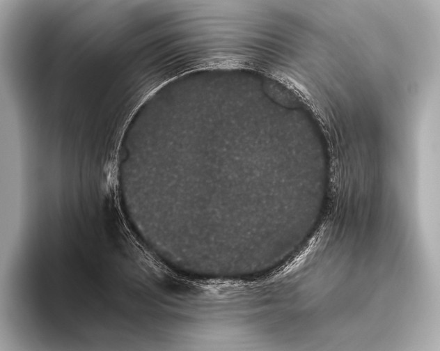 X0000093531081200711021306