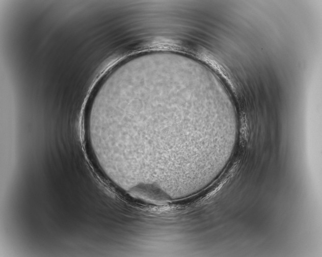 X0000093531082200711021306