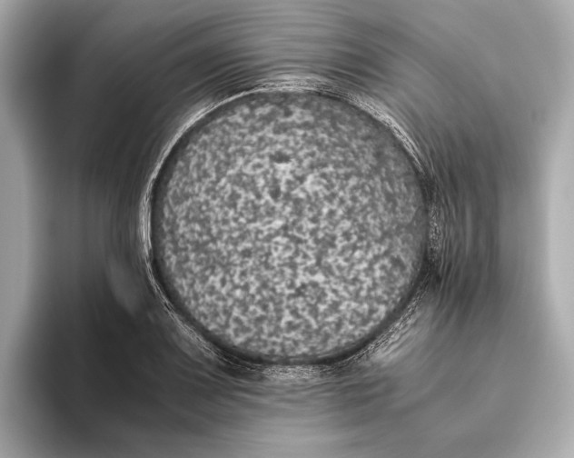 X0000093531083200711021306