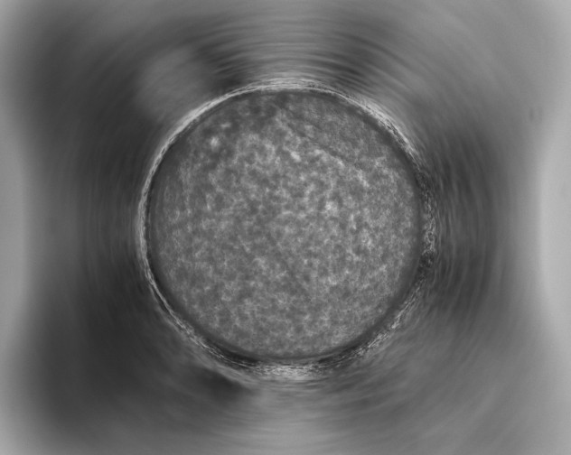 X0000093531086200711021306