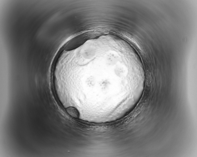 X0000093531087200711021306