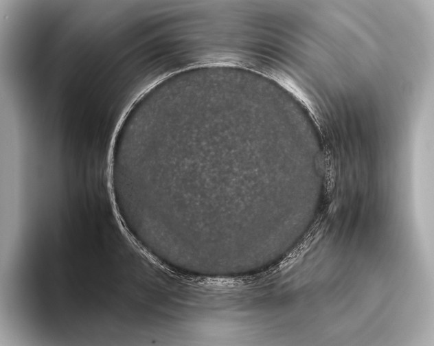 X0000093531088200711021306