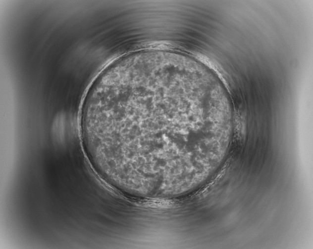 X0000093531090200711021306