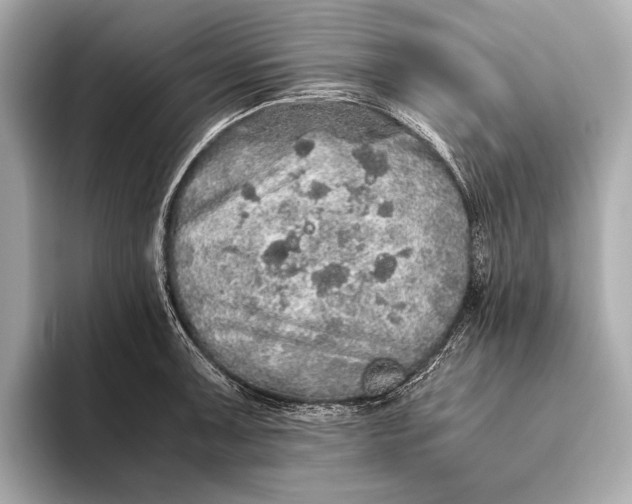 X0000093531091200711021306