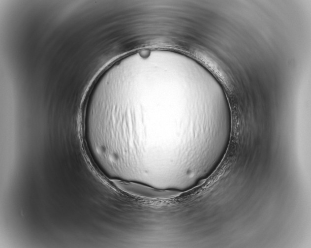 X0000093531092200711021306