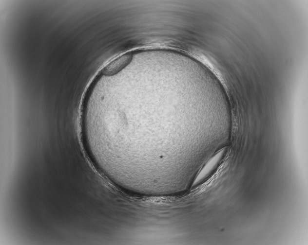 X0000093531093200711021306