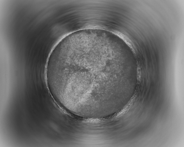 X0000093531094200711021306